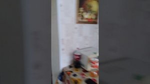 Ролик