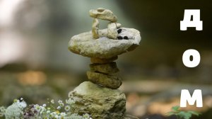 Художники Мартыненко Павел да Наталья