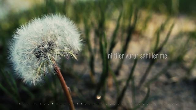 Söyle Bana Hindiba - Nurullah Genç смотреть онлайн