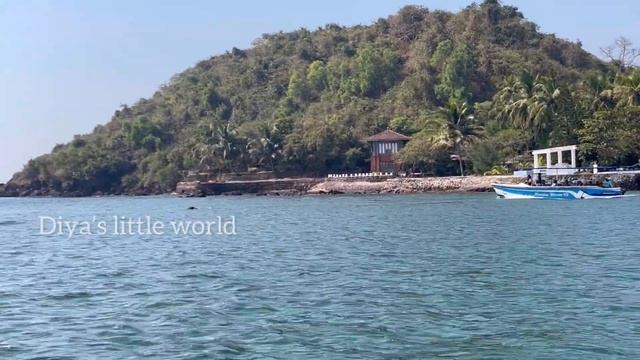 COCO BEACH GOA🏝️🐬#dolphins#palace #cocobeach #goabeach #goa