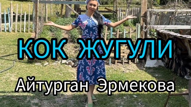 КОК ЖУГУЛИ смотреть онлайн