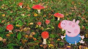 Свинка Пеппа  Джордж отравился и попал в больницу  Лечим Джорджа  Новые серии