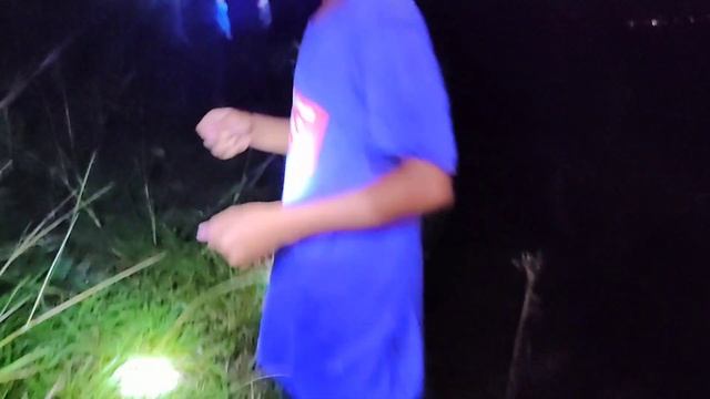 Spider Hunting / (Part 2) Night Hunting Daming O.S may Red Devil, Black Panther at Tigrihan. смотреть онлайн