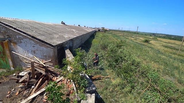 ❗❗Вирізаю дерева біля ферми🌳 Тестую новий препарат від мух🦟