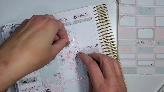 Plan With Me / Featuring Paper Muse Crafts / Sadie's Stickers Planner