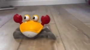 Интерактивная игрушка "Убегающий краб"