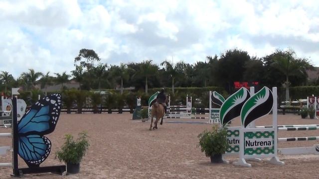 Natalia Gierbolini in TWINKIE (WEF Feb. 1, 2014) Wellington, Florida смотреть онлайн