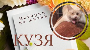 Истории из жизни. Кузя. Аудиорассказ. Любительское чтение. Читает непрофессионал.