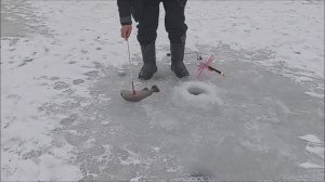 Ловим на пассив в полях. Нижний пруд. Клёвое место Лосиный остров.