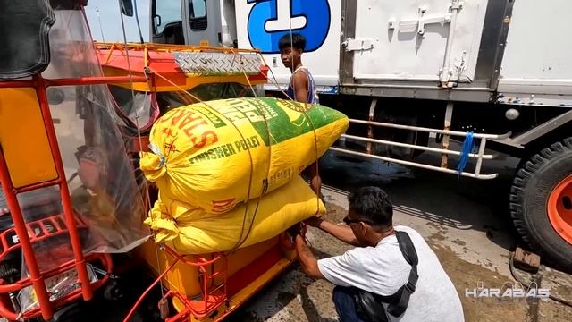 Nagdagdag ng Yelo Bago Umalis si Raptor смотреть онлайн