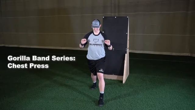 Silverback Sports Gorilla Band Series - Chest Press смотреть онлайн
