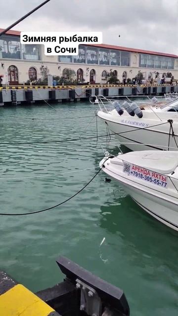 Зимняя рыбалка в Сочи 05.02.24 Кефаль