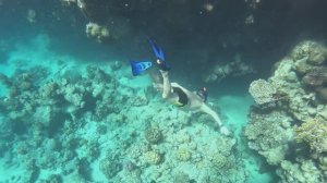 DIVEDAY2