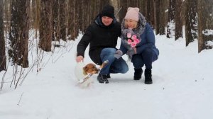 Снег летит над землёй
Сергей Динодов