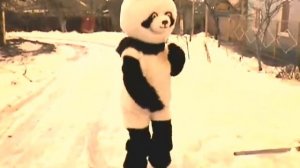 Панда Аралёшка (Panda Araleshka) Танец панды!