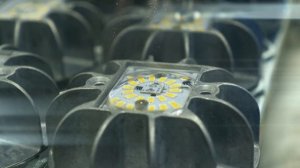 Sunbird Lighting - The Choice is Simple