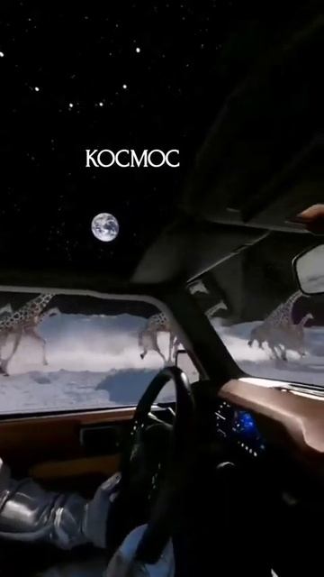 Telegram @Devoutlove смотреть онлайн