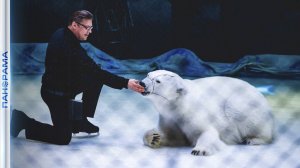 🎪 Впервые за 17 лет на арене донецкого цирка «Космос» полярные медведи!