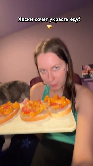 Ахахаха #хаски #собаки #прикол #приколы #юмор #собачки смотреть онлайн