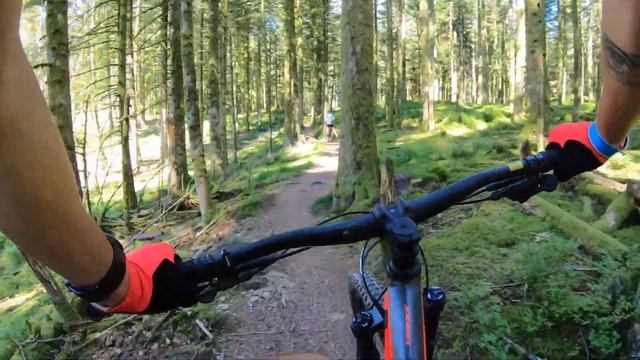 VTT'isode #5 : VERT'ETISTE 2021 ! смотреть онлайн