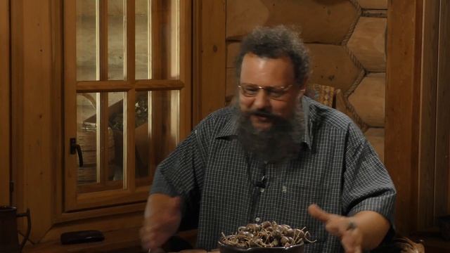 ПРАВОВИДИМ 14 неденьга смотреть онлайн