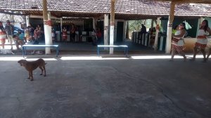 Dança da Chuva das Mulheres Indígenas (Putú-Putú) - Povo Tereguá, aldeia Tereguá - Avaí-SP.