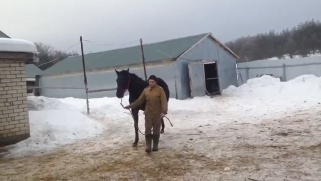 Агидель прямая трансляция Агидель прямая трансляция