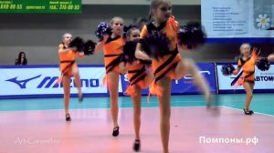 Little Foxes Cheerleading Team