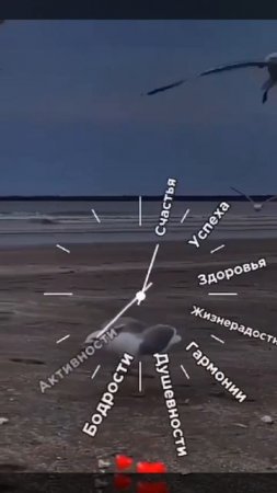 Всем доброго времени суток