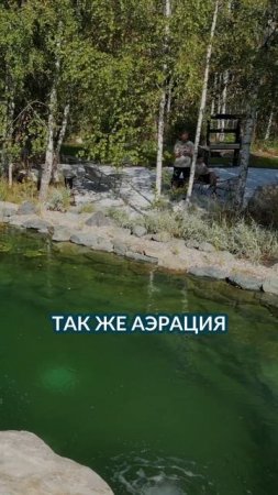 Если вы вдруг считали, что система аэрации для водоёма ни к чему, то посмотрите обязательно видео!