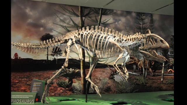 The Antarctic Dino: Cryolophosaurus! Dino Times смотреть онлайн