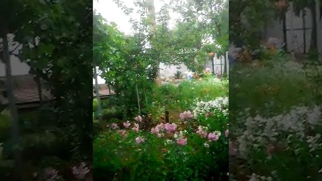 Катя ту смотреть онлайн