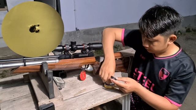 Dilelang HW100 / target 8mm Airguns pest control