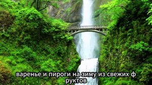 8 августа Ермолаев День. Что нельзя делать 8 августа в Ермолаев День. Приметы и Традиции Дня