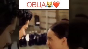 Сериал:Каралек птичка певчая