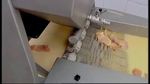 Универсальный автоматичeский панировщик Gaser Practic-240