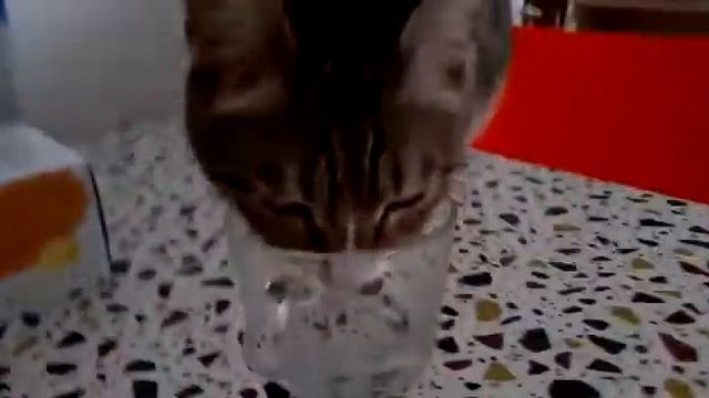 Дай попить спокойно, брат смотреть онлайн