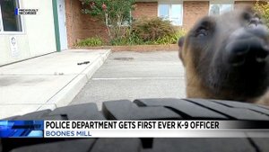 Boones Mill Police Department's new K9 Officer Rex