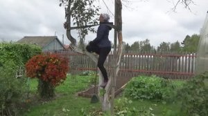 6 соток 11 сентября 2020 года 1 часть. Прореживаем сухую яблоню и смородину. Парник для клубники.