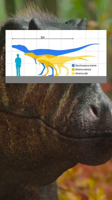 Цаньчжоузавр - Пинокио рекс#DINOSAURWORLD#shorts смотреть онлайн