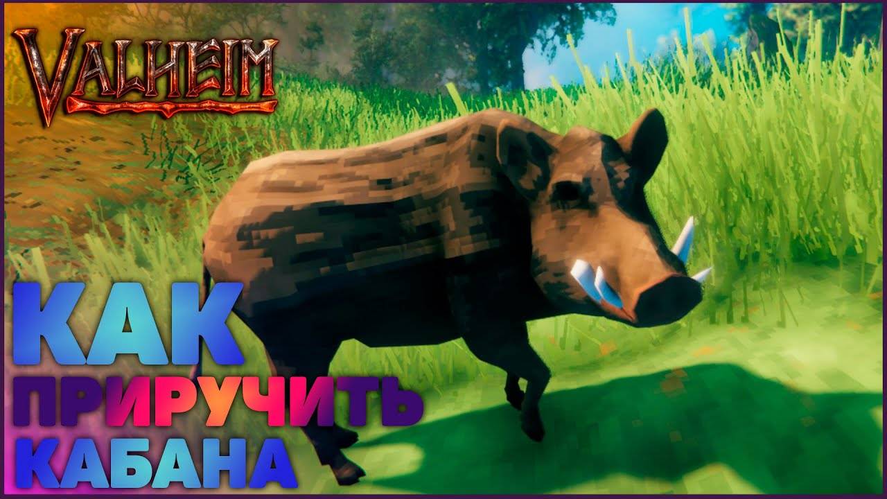 ➤ Как Приручить Кабана ➤ Valheim  ➤ Valheim Гайд ➤ Валхейм