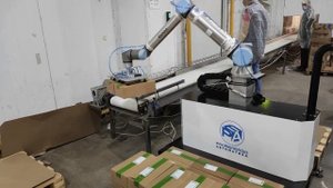 Выездная демонстрация паллетайзера на базе коллаборативного робота