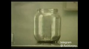 Блохи в банке. Коротко о том, с чем я помогаю справиться ❤️🩹