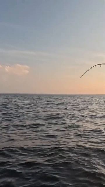 Третьего припарковали! смотреть онлайн