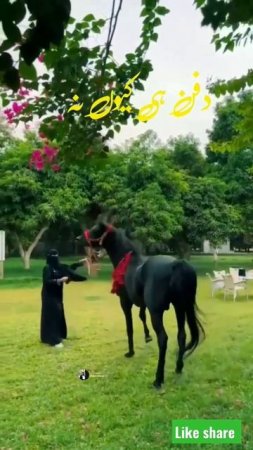 Be Fikar Raho || Hijab girl video❤ Islamic video status❤#urdupoetry #hijabstyle