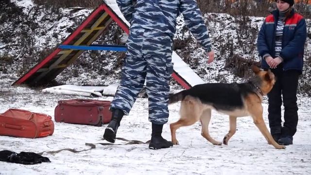 Делька 19.11.13 смотреть онлайн