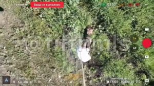 Продолжение к видео, " Хохлы взорвали своего"