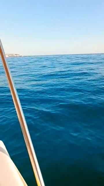 Адлер Прогулка на катамаране Чёрное море #адлер #сочи #2023 #море