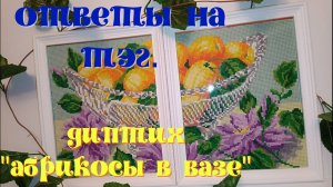 Отвечаю на вопросы ТЭГа Натальи канала "Алмазная мозаика в США"