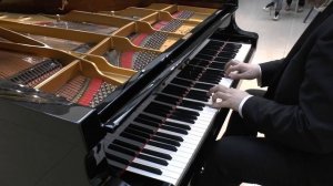 Ж.Ф. Рамо. Перекликание птиц. Дмитрий Онищенко (фортепиано). Галерея Нико. Москва, 2024